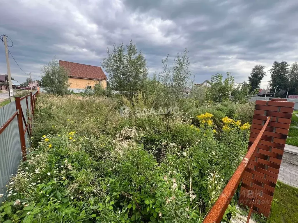 Участок в Новосибирская область, Новосибирский район, Кубовинский ... - Фото 0