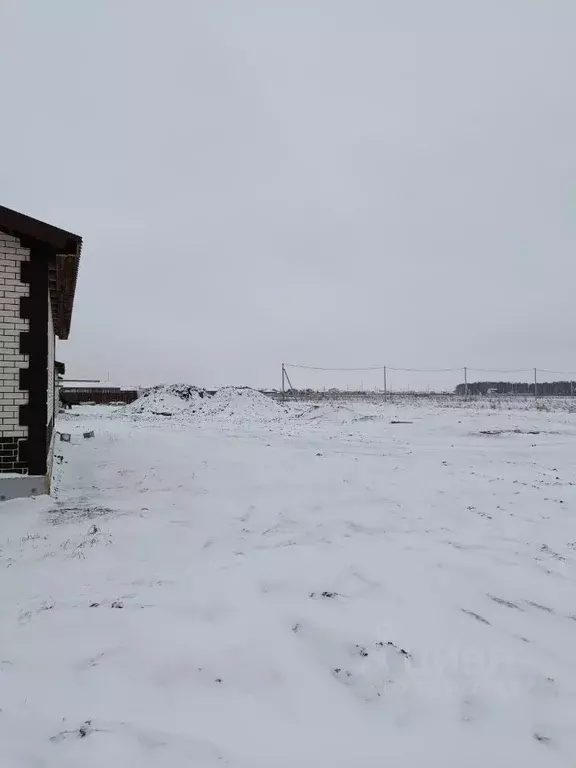 Участок в Омская область, Омский район, Магистральное с/пос, с. ... - Фото 1