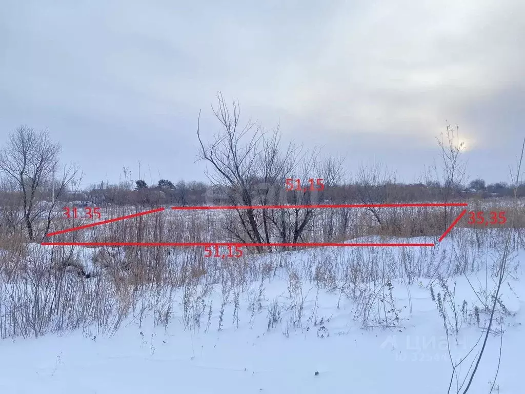 Участок в Амурская область, Благовещенский район, с. Владимировка ... - Фото 1