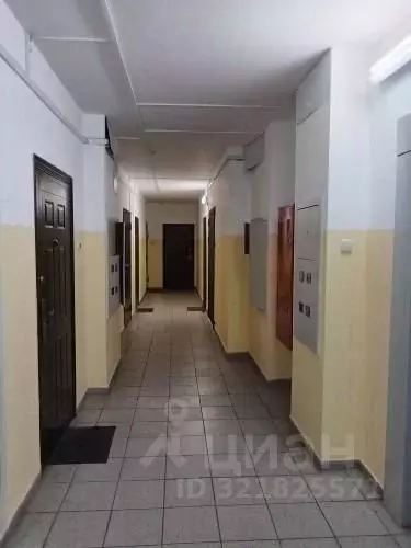 Студия Красноярский край, Красноярск ул. Карамзина, 16 (26.0 м) - Фото 2