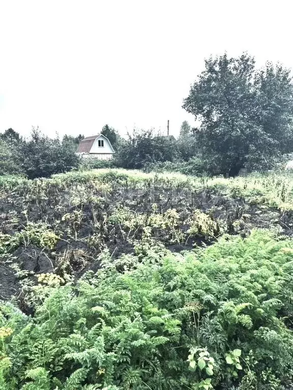 Участок в Тюменский муниципальный округ, СНТ Целинное (13.7 м) - Фото 1