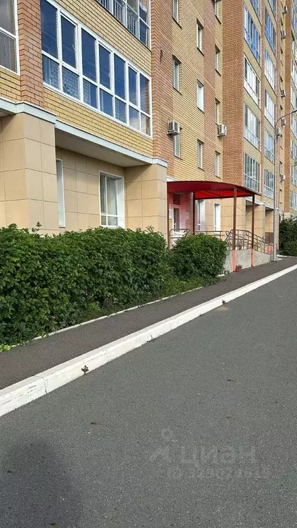 Помещение свободного назначения в Татарстан, Казань ул. Кул Гали, 38 ... - Фото 1