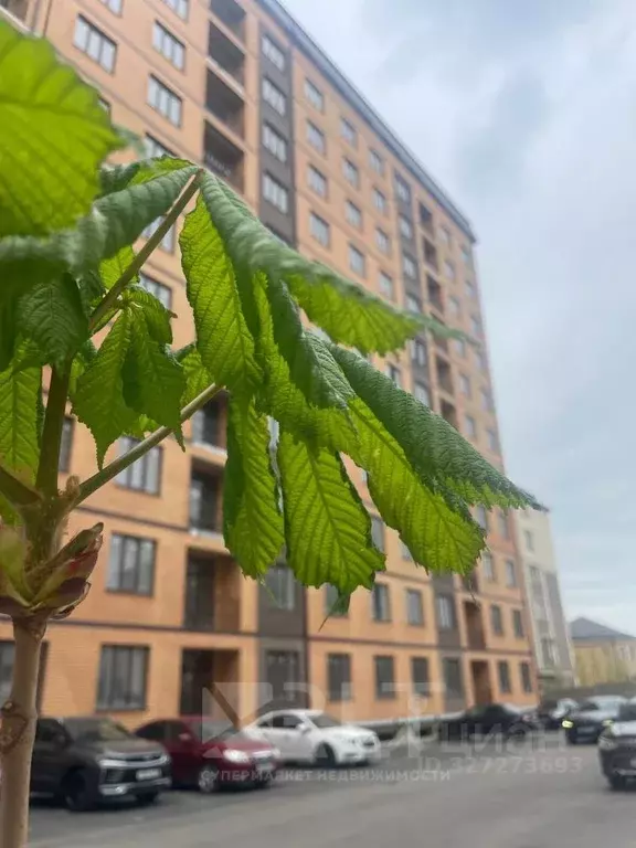 1-к кв. Дагестан, Махачкала ул. Лизы Чайкиной, 69 (42.0 м) - Фото 1