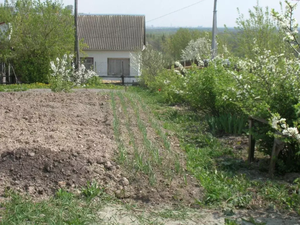 Дом в Брянская область, Брянский район, Супоневское с/пос, с. Супонево ... - Фото 2