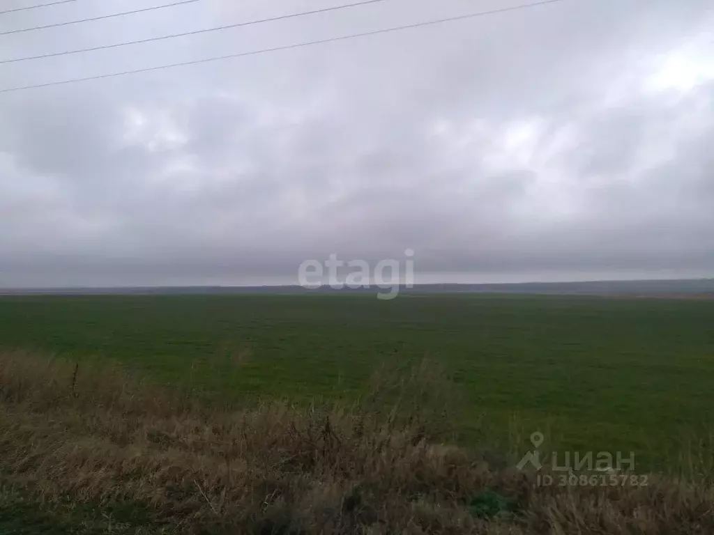 Участок в Краснодарский край, Темрюкский район, Ахтанизовская ст-ца  ... - Фото 1