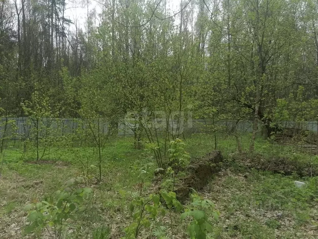 Участок в Московская область, Щелково городской округ, Планета СНТ 59 ... - Фото 1