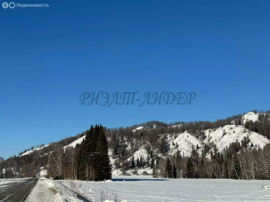 Участок в Усть-Коксинский район, село Курдюм (54 м) - Фото 0