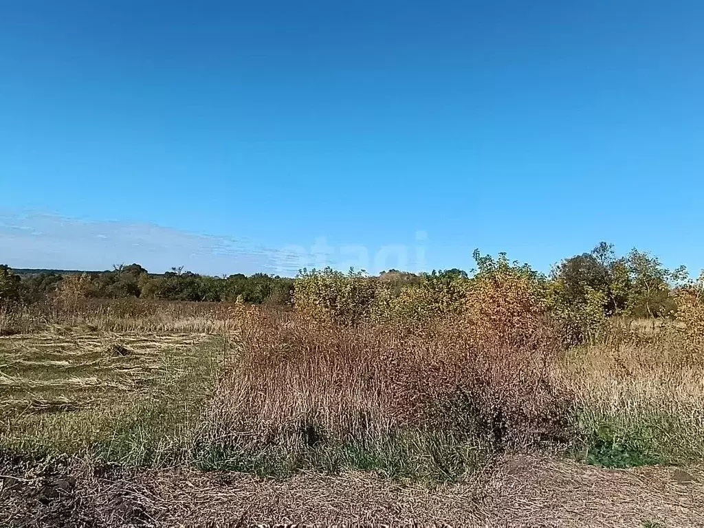Дом в Белгородская область, Шебекинский муниципальный округ, с. ... - Фото 2