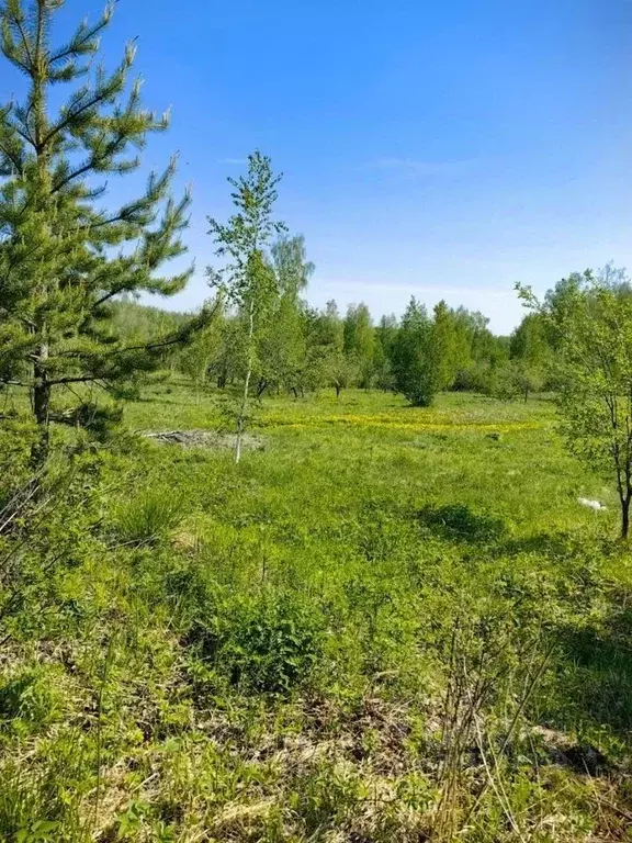 Участок в Свердловская область, Дегтярск ул. Космонавтов, 3 (12.0 ... - Фото 1