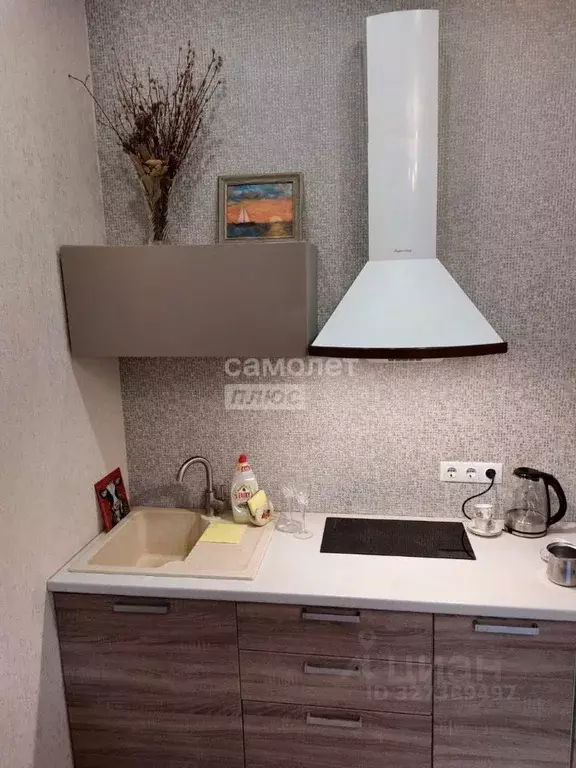 1-к кв. Краснодарский край, Сочи ул. Яна Фабрициуса, 2/26А (28.0 м) - Фото 1