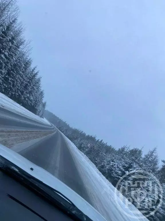 Участок в Псковская область, Стругокрасненский район, д. Теребуни  ... - Фото 0