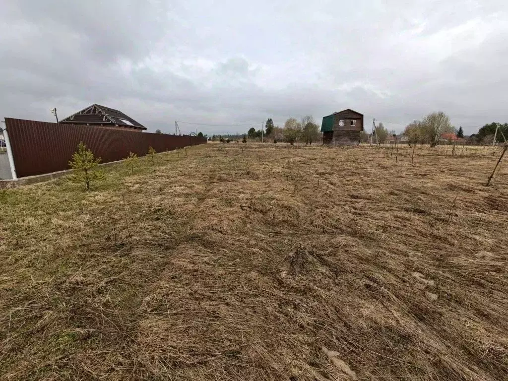 Участок в Московская область, Рузский муниципальный округ, д. Цыганово ... - Фото 1