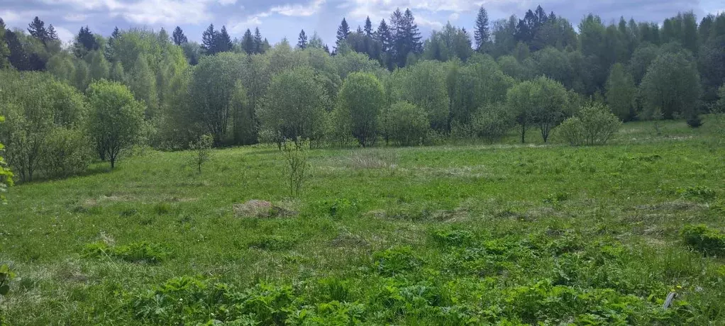 Участок в Московская область, Солнечногорск городской округ, д. Мостки ... - Фото 0