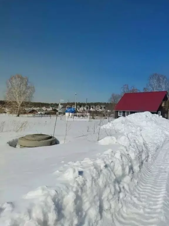 Участок в Алтайский край, Барнаул городской округ, пос. Мохнатушка ул. ... - Фото 2