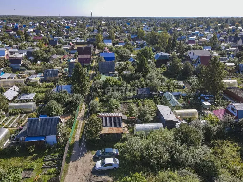 Дом в Тюменская область, Тюмень Строитель-3 СНТ, ул. Рябиновая, 180 .,  Купить дом в Тюмени, ID объекта - 50013135389