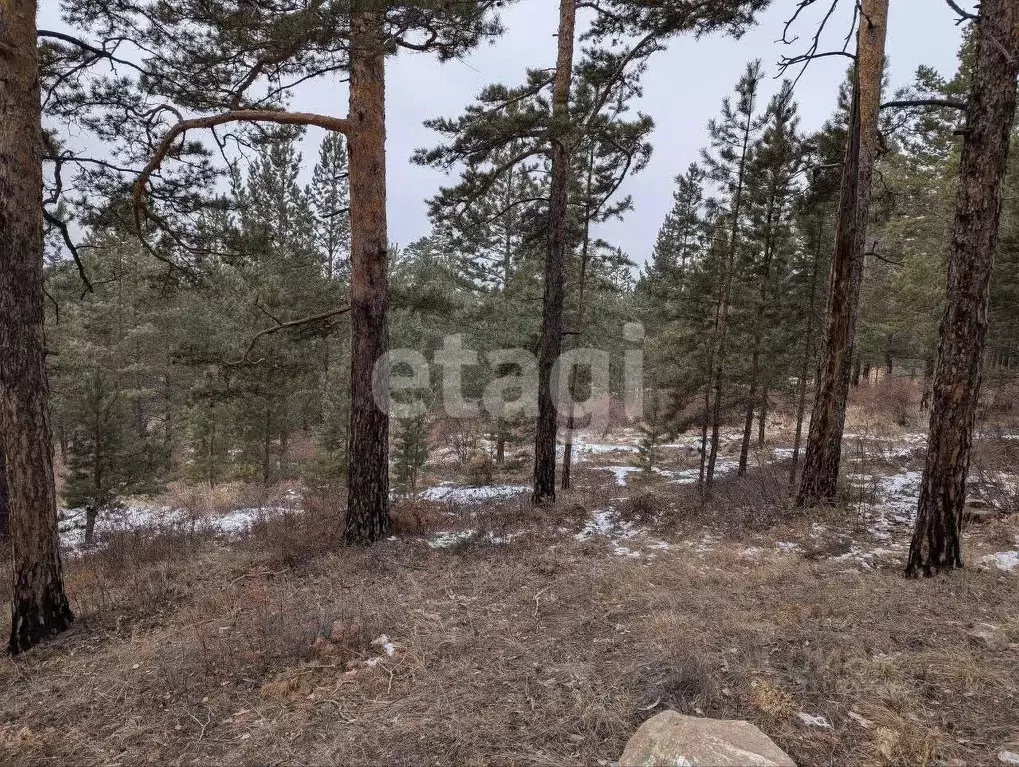 Участок в Бурятия, Улан-Удэ Аршан мкр,  (8.0 сот.) - Фото 0