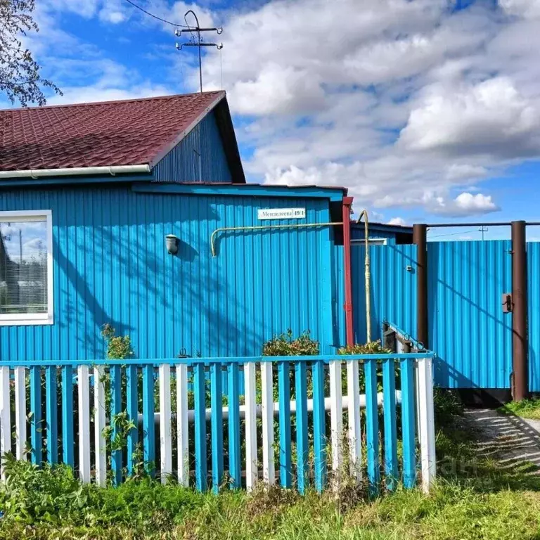 Дом в Тюменская область, с. Упорово ул. Менделеева (63 м) - Фото 2