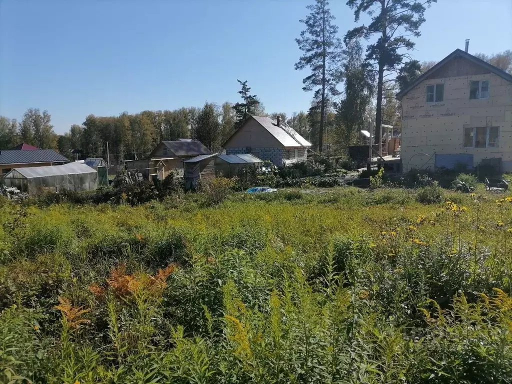 Участок в Новосибирская область, Новосибирский район, Барышевский ... - Фото 1