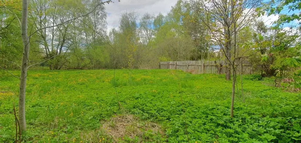 Участок в Московская область, Одинцовский городской округ, пос. ... - Фото 0