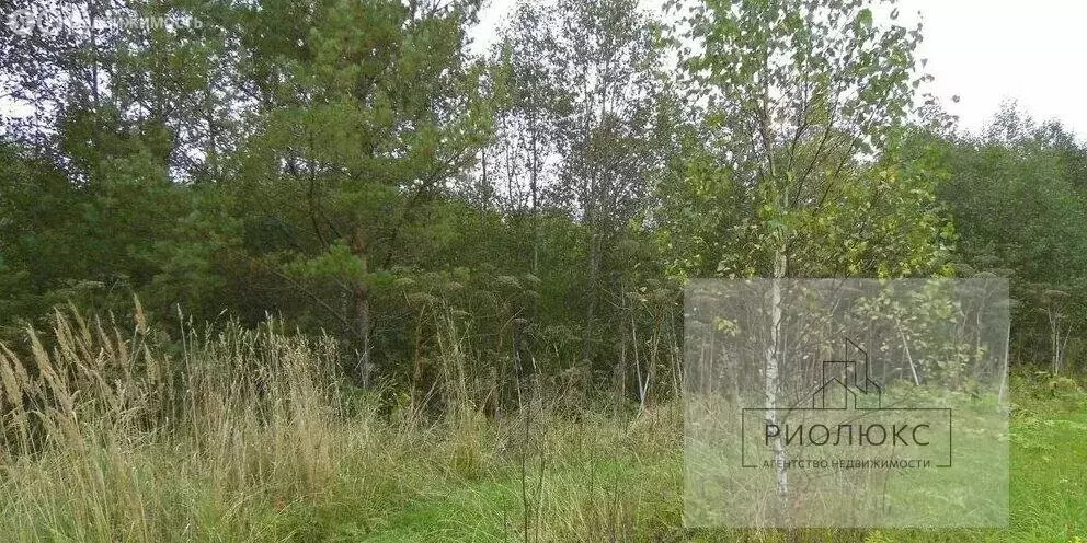 Участок в село Светлое, Октябрьская улица, 18 (15 м) - Фото 2