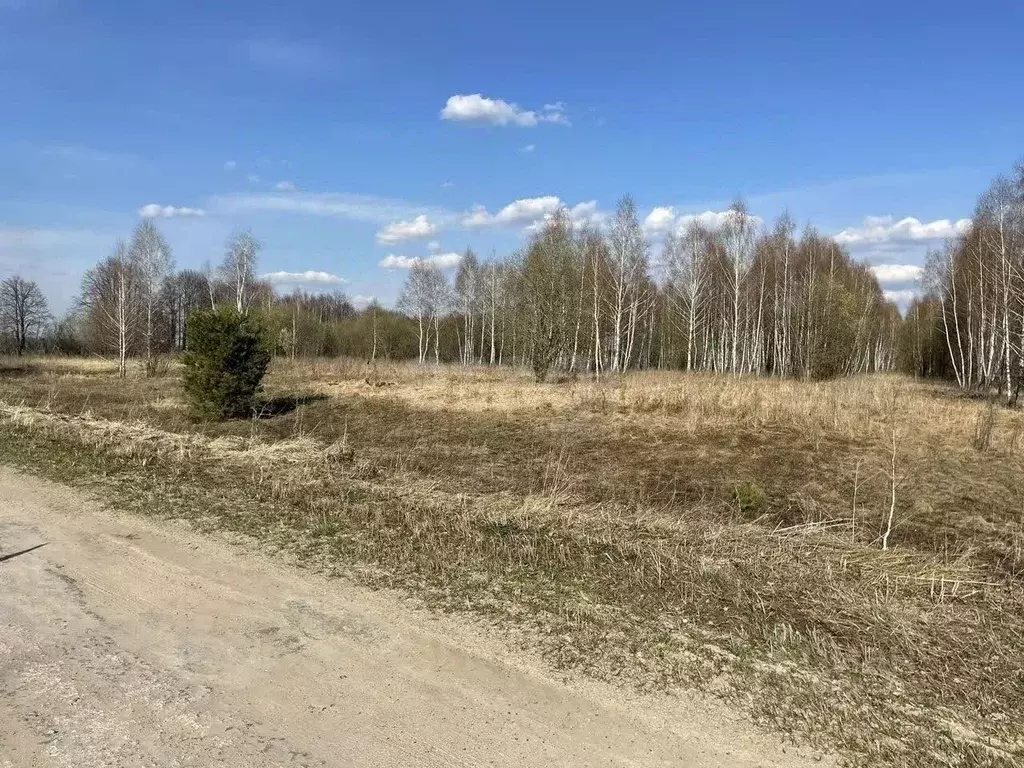 Участок в Тульская область, Белев г. Белев городское поселение, ул. ... - Фото 1