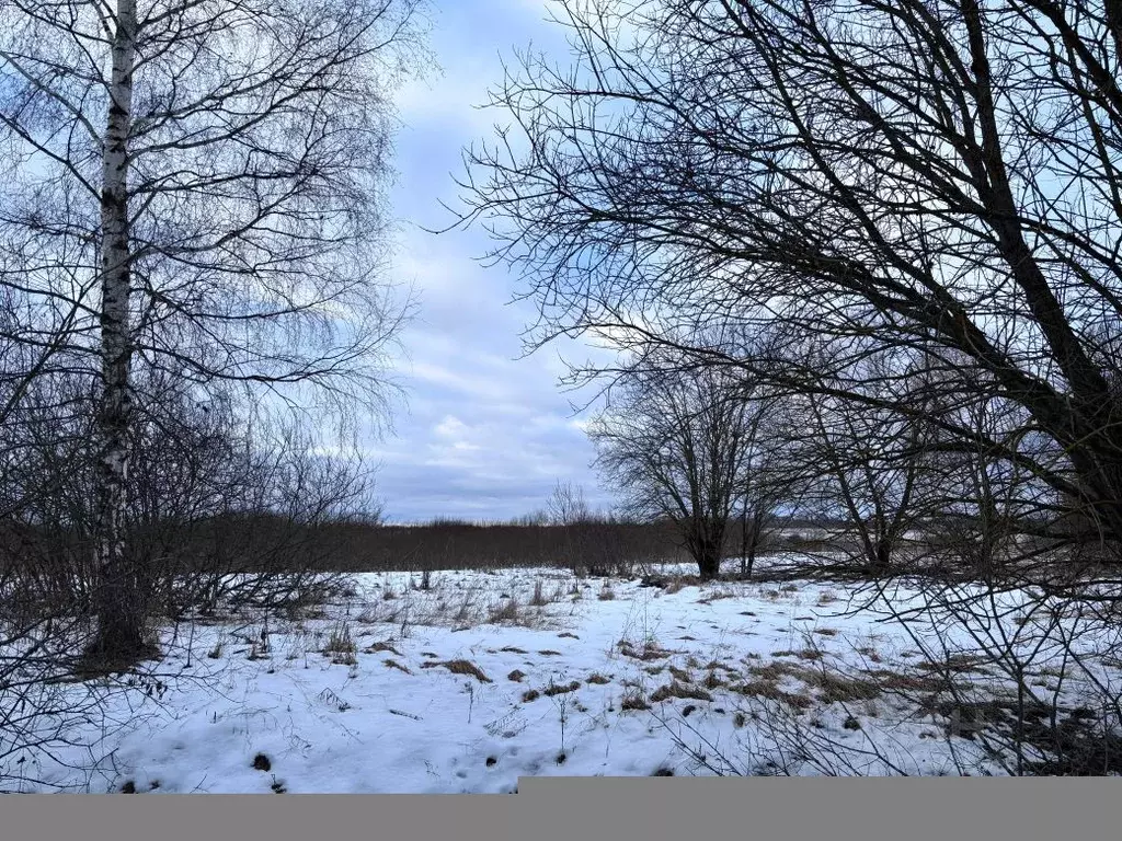 Участок в Московская область, Клин городской округ, д. Ватолино  (15.0 ... - Фото 0