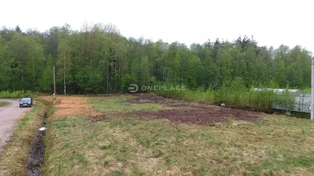 Участок в Ленинградская область, Выборгский район, Рощинское городское ... - Фото 1