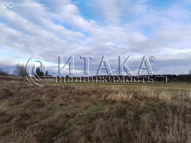 Участок в Выборгский район, Гончаровское сельское поселение, посёлок ... - Фото 2