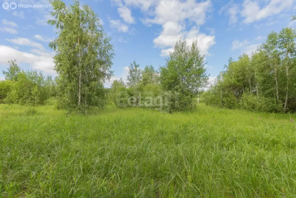 Участок в Тюменский район, деревня Решетникова (8 м) - Фото 1