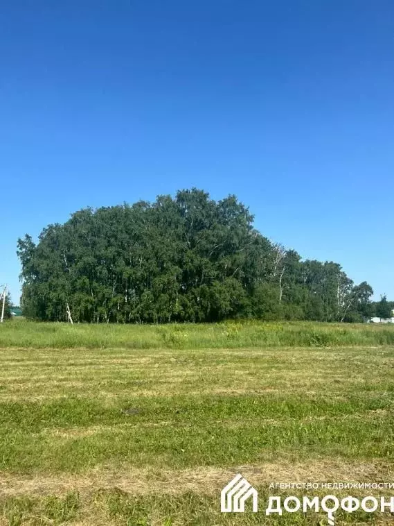 Участок в Омская область, Омский район, Пушкинское с/пос, д. Ракитинка ... - Фото 2