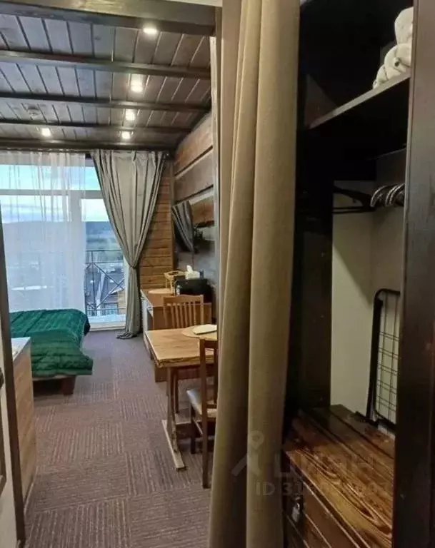 1-к кв. Челябинская область, Миасский городской округ, с. Сыростан ул. ... - Фото 1
