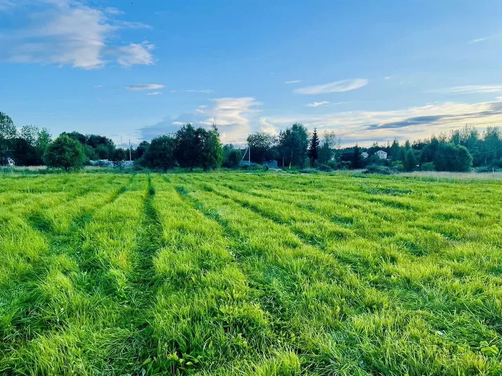 Участок в Ленинградская область, Лужский район, Заклинское с/пос, д. ... - Фото 1