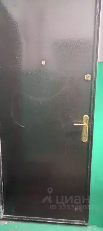 1-к кв. Нижегородская область, Дзержинск 7-й мкр, бул. Химиков, 4 ... - Фото 2