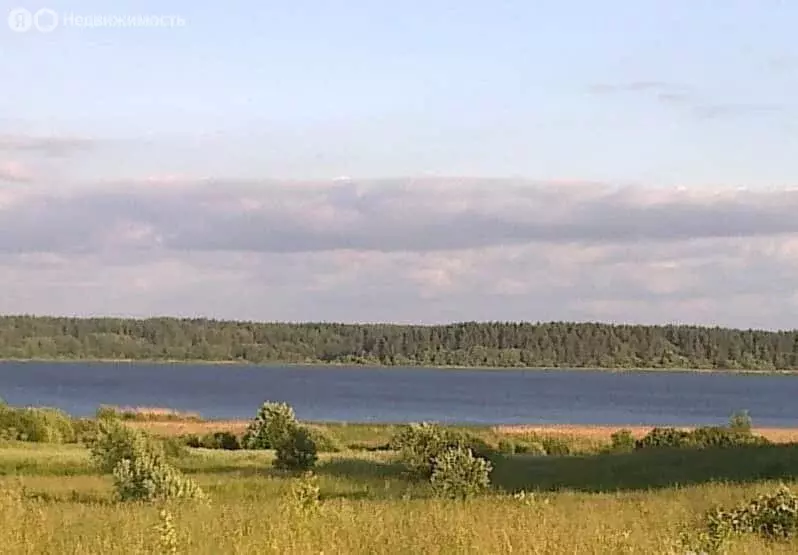 Участок в Псковская область, Красногородский муниципальный округ, ... - Фото 1