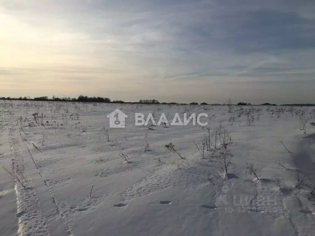 Участок в Владимирская область, Суздальский муниципальный округ, с. ... - Фото 2