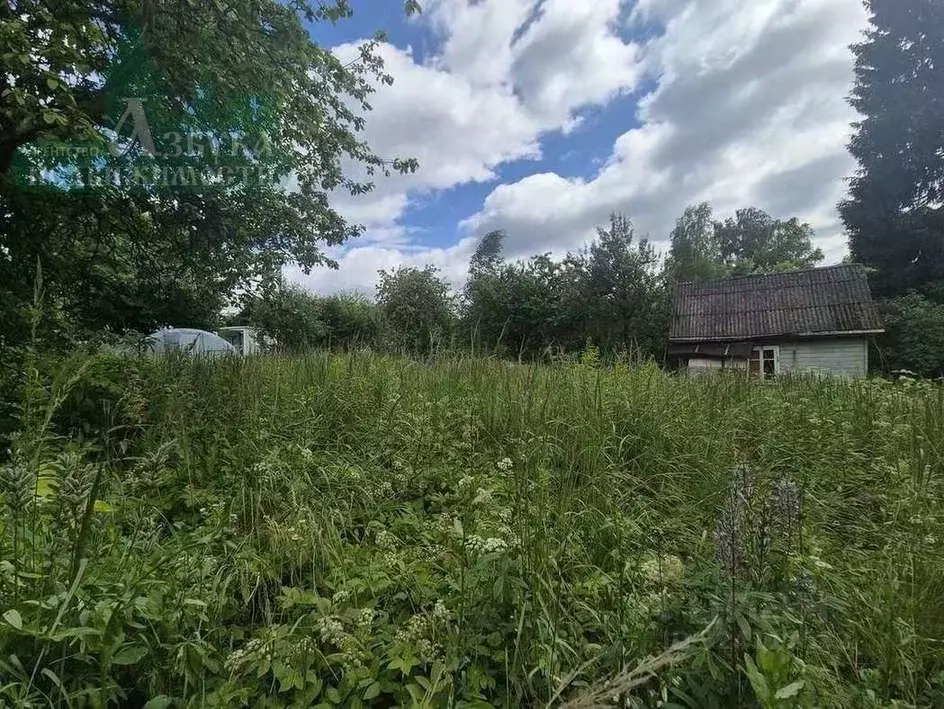 Дом в Смоленская область, Смоленск ул. Чернышевского (18 м) - Фото 2