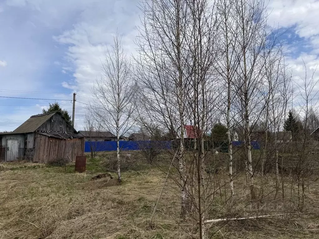 Участок в Московская область, Дубна Репка СНТ, 22-й сектор, 31 (6.0 ... - Фото 1
