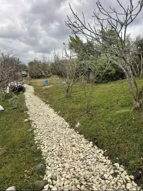 Участок в Краснодарский край, Сочи городской округ, с. Черешня ул. ... - Фото 1
