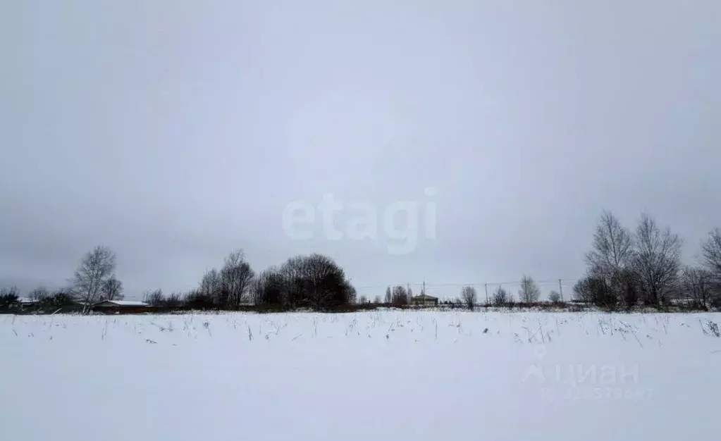 Участок в Тульская область, Алексин городской округ, с. Абрютино  ... - Фото 2