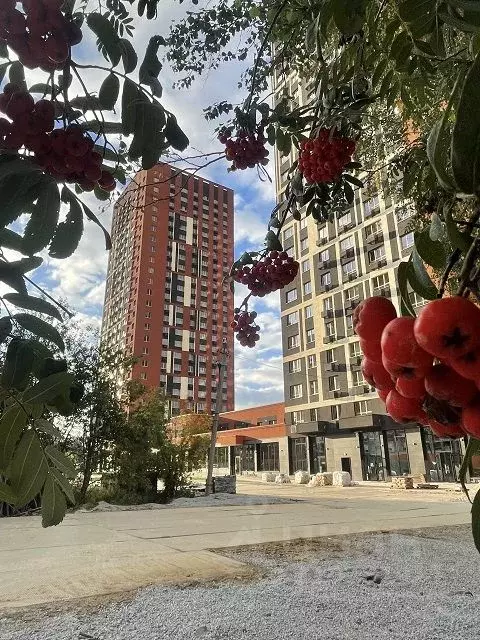 Студия Свердловская область, Екатеринбург бул. Владимира Белоглазова, ... - Фото 0