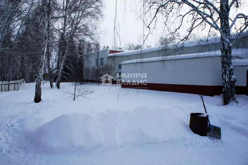 Помещение свободного назначения в Омская область, Саргатское рп ул. 50 ... - Фото 1