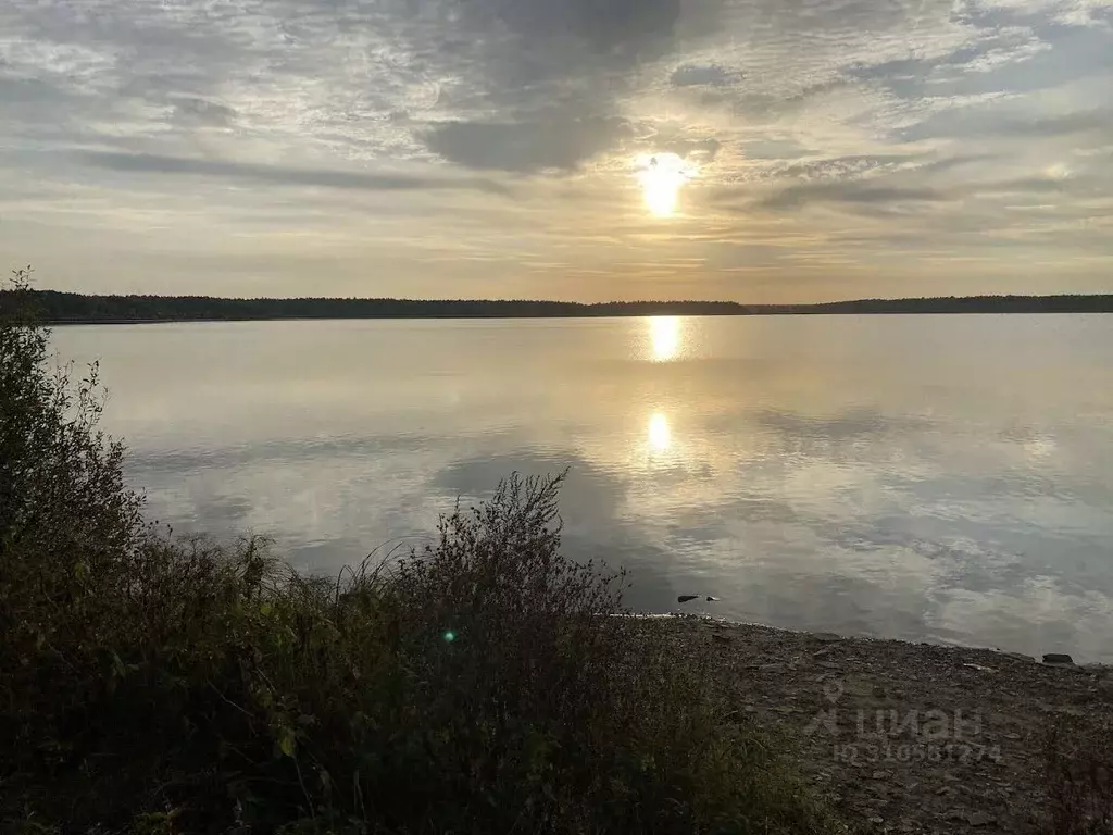 Участок в Московская область, Талдомский городской округ, д. Мякишево  ... - Фото 1