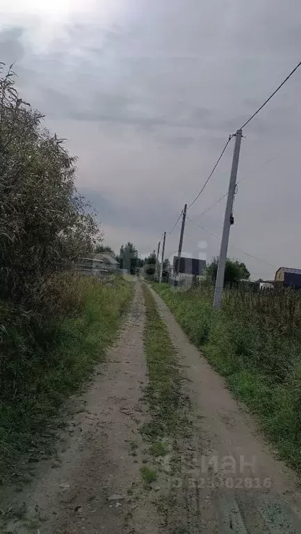 Участок в Тюменская область, Тюмень Садовое товарищество Липовый ... - Фото 2