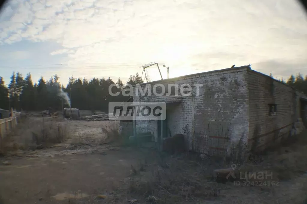 Производственное помещение в Марий Эл, Медведевский район, Кундышское ... - Фото 2