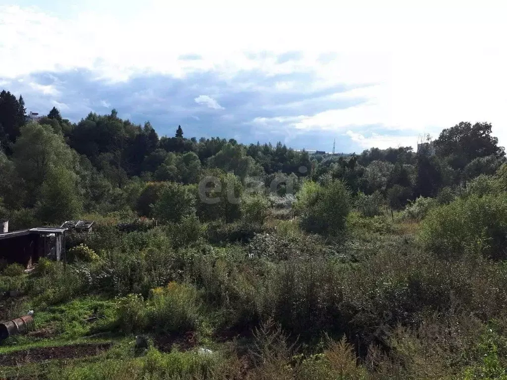 Участок в Московская область, Химки городской округ, д. Рузино  (250.0 ... - Фото 1
