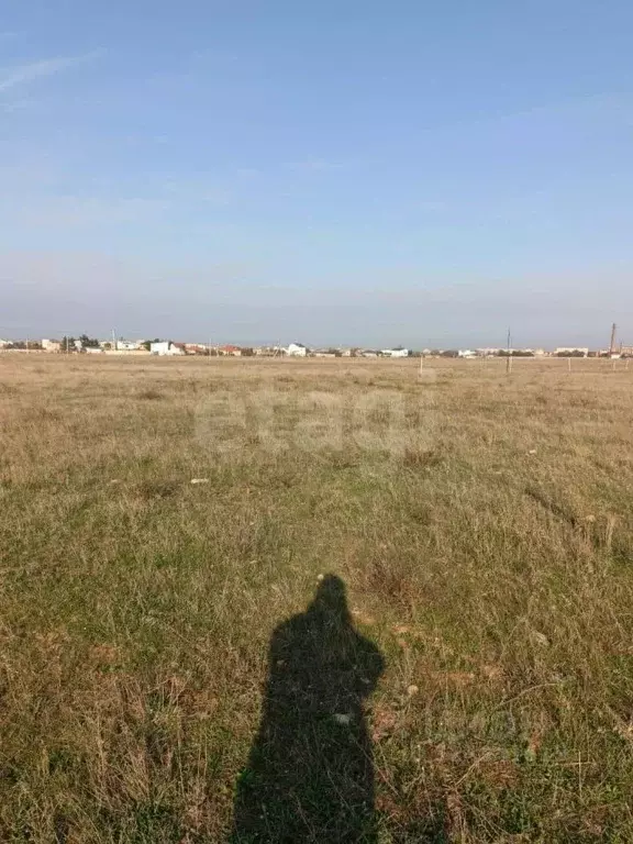 Участок в Крым, Сакский район, Молочненское с/пос, с. Витино  (6.0 ... - Фото 1