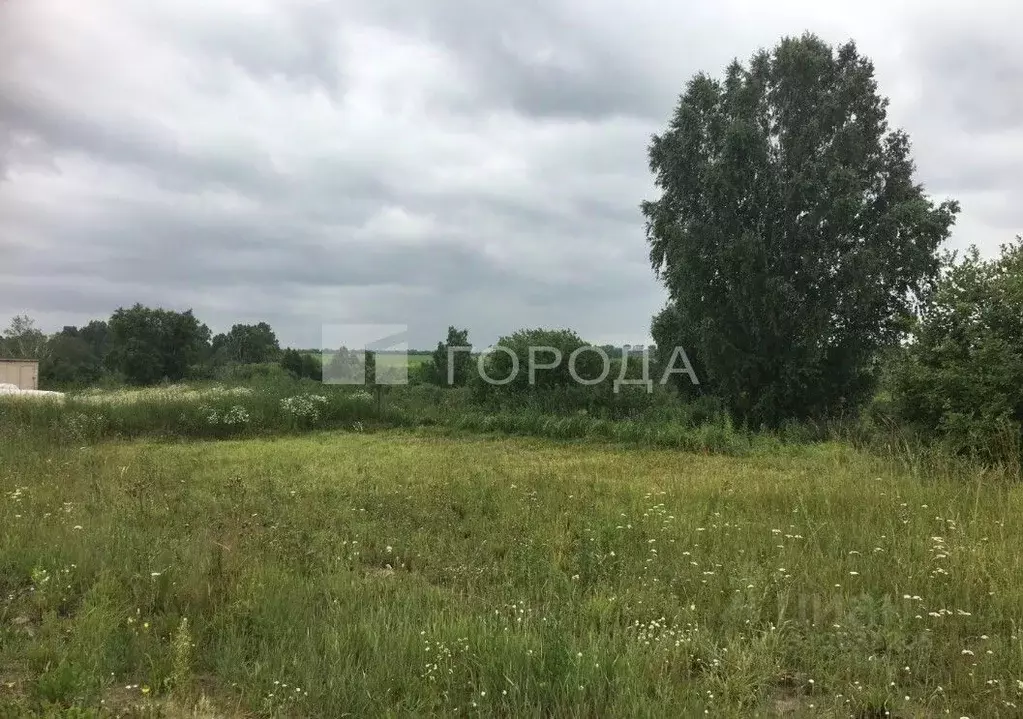 Участок в Новосибирская область, Новосибирский район, Каменский ... - Фото 0