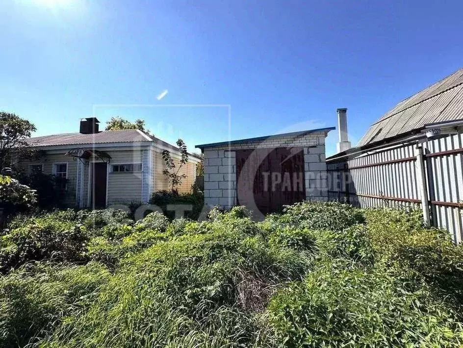 Дом в Воронежская область, Хохольский район, Гремяченское с/пос, с. ... - Фото 2