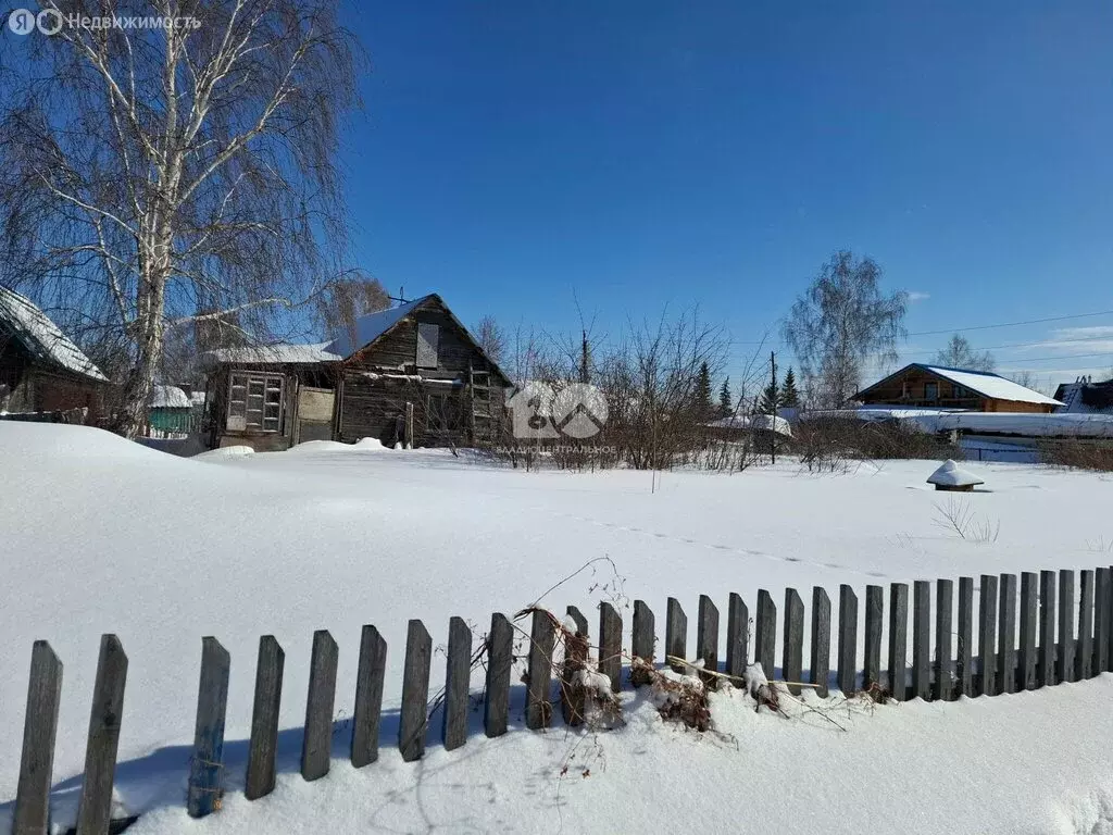 Участок в Новосибирск, садоводческое некоммерческое товарищество Лилия ... - Фото 1