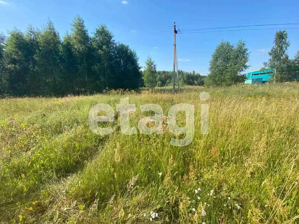 Участок в Владимирская область, Петушинский муниципальный округ, д. ... - Фото 1